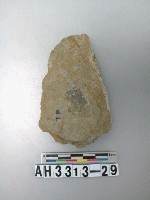 藏品(中型打製石斧)的圖片